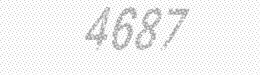 Visual security code — type the characters shown in the image