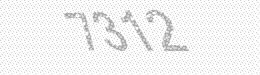 Visual security code — type the characters shown in the image